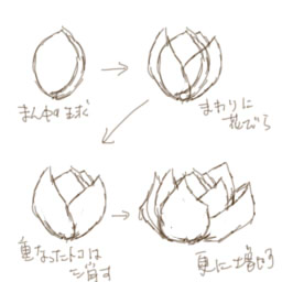 バラの描き方 個人的な絵の描き方とか