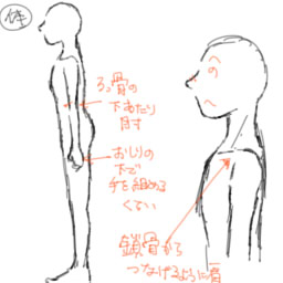 横から見た顔 体 個人的な絵の描き方とか