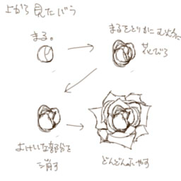 バラの描き方 個人的な絵の描き方とか